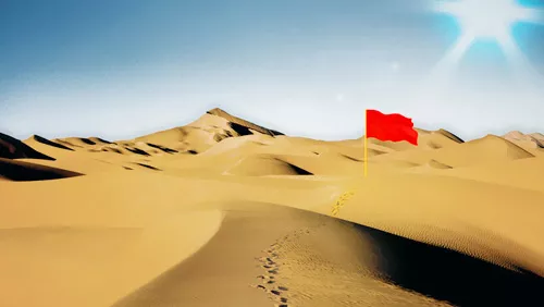 发展历程